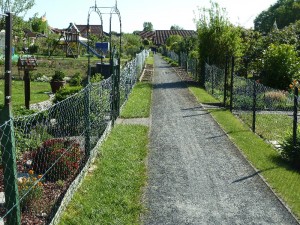 Asternweg